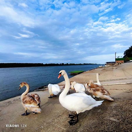 Vila Maza Smederevo Zewnętrze zdjęcie