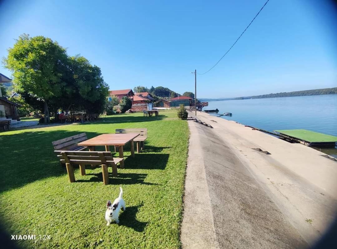 Vila Maza Smederevo Zewnętrze zdjęcie